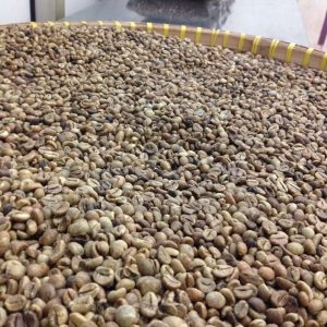 Coffee beans buy online