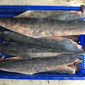 Fish buy online buy Qatar ,Dubai,UAE - spices exporting