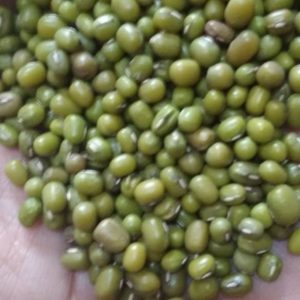 Pulses online buy Qatar ,Dubai,UAE - spices exporting