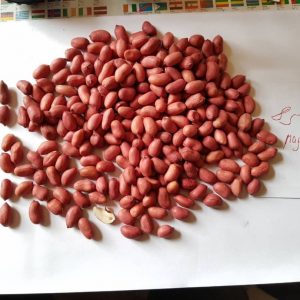 Pulses online buy Qatar ,Dubai,UAE - spices exporting