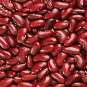 Pulses online buy Qatar ,Dubai,UAE - spices exporting